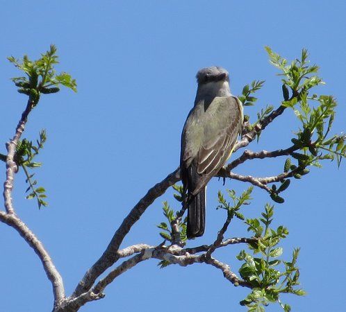Panoche Hills Ecological Reserve
